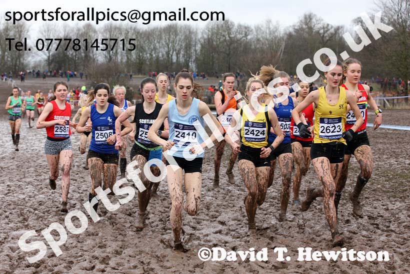 Womens under-20s 2018 British Inter Counties Cross Country Champs., Prestwold Hall, Loughborough. Photo: David T. Hewitson/Sports for All Pics